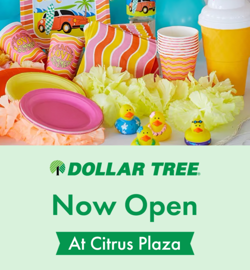 Dollar Tree Now Open